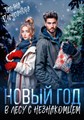 Новый год в лесу с незнакомцем - фото 4560