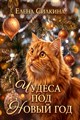 Чудеса под Новый год - фото 4637